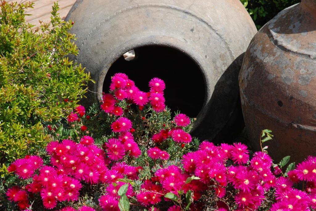 Готель A Flor Da Rosa Крату Екстер'єр фото